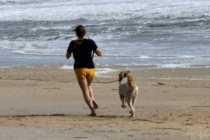 exercícios com cão